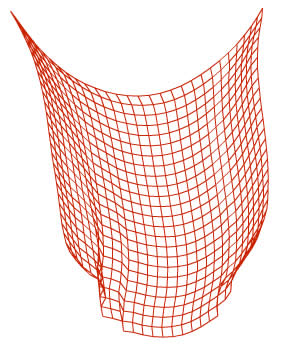 The verlet integration
