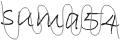 type security code