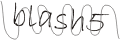 type security code