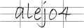 type security code