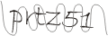 type security code